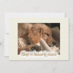 Golden Peaceful Puppy Flat Christmas Card