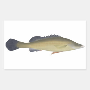 Golden Perch Rectangular Sticker