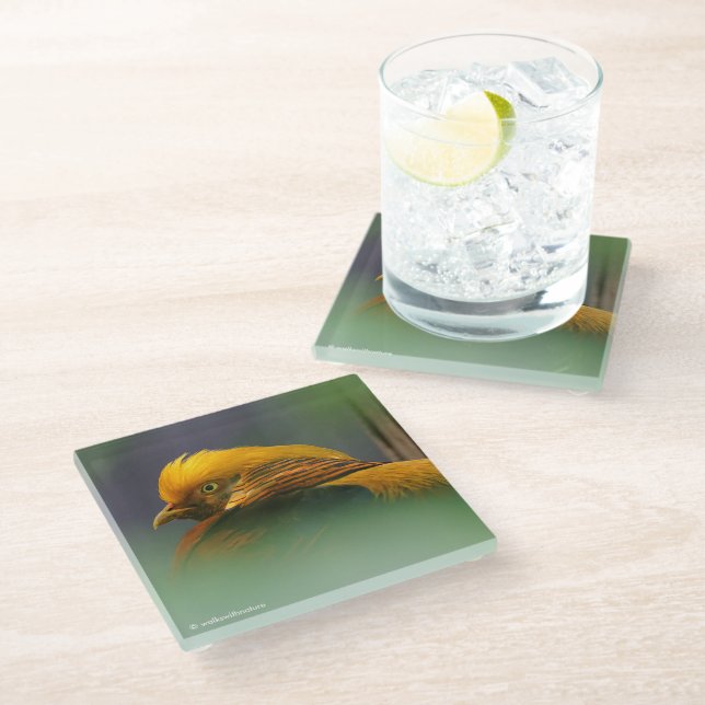 Golden Pheasant Between the Leaves Glass Coaster (Angled)