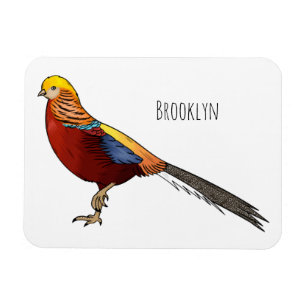 Golden pheasant bird cartoon illustration  magnet