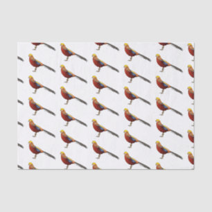 Golden pheasant bird cartoon illustration tissue paper