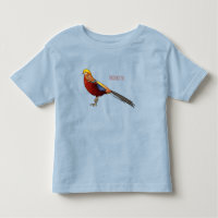 Golden pheasant bird cartoon illustration  