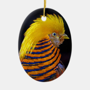 Golden pheasant print christmas ornament