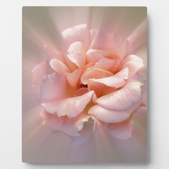 Golden pink plaque (Front)
