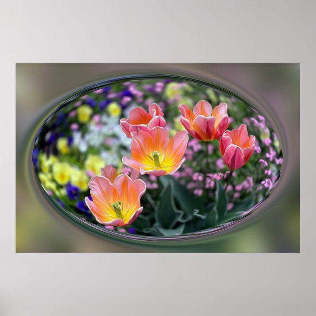 Golden pink tulips poster (Front)