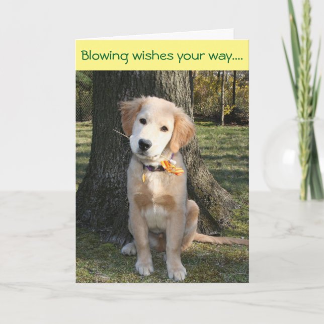 Golden Pinwheel Birthday Card (Front)