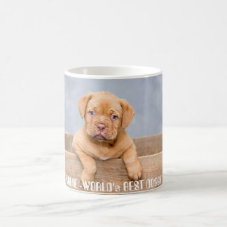 Golden Pitbull Puppy | Personalised Name & Photo Coffee Mug