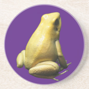 Golden Poison Frog Coaster