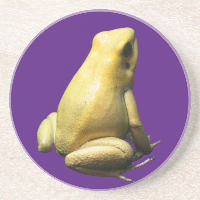 Golden Poison Frog Coaster (Front)