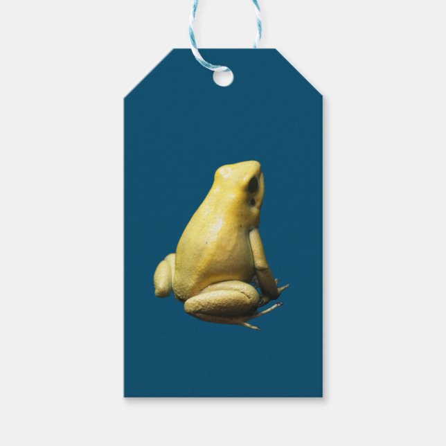 Golden Poison Frog Gift Tags (Front)