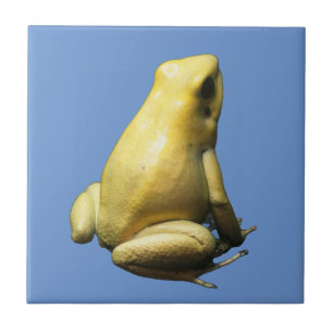 Golden Poison Frog Tile