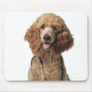 Golden Poodle Dog wearing a stethoscope Mouse Mat