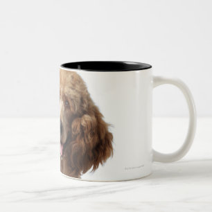 Golden Poodle Dog wearing a stethoscope Two-Tone Coffee Mug