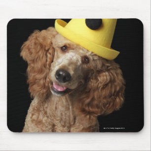 Golden Poodle Dog wearing a yellow clown hat Mouse Mat