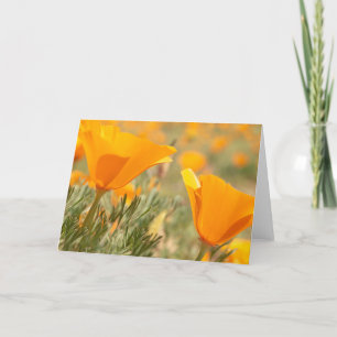 Golden Poppies Card