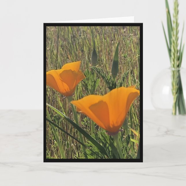 Golden Poppies Easter Card 3 (Front)