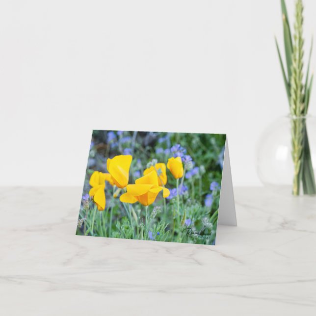 Golden poppies to show you care thank you card (Front)
