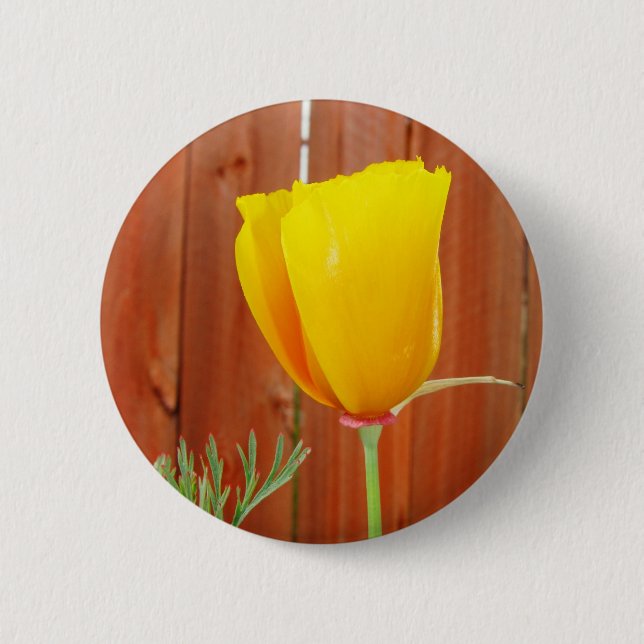 Golden Poppy 6 Cm Round Badge (Front)
