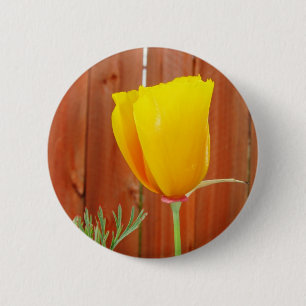 Golden Poppy 6 Cm Round Badge
