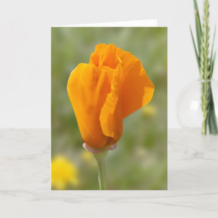 Golden Poppy Flower Card