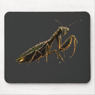 Golden Praying Mantis Black & Gold Mouse Mat