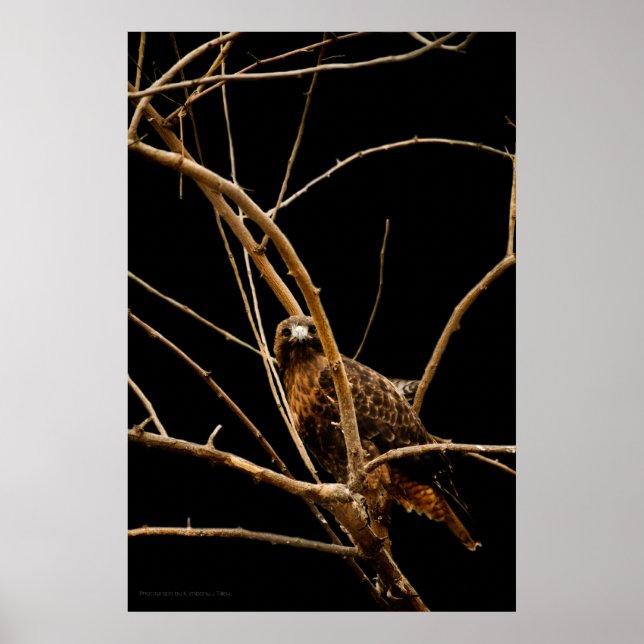 Golden Print (Front)