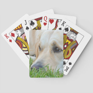 Golden Pup Playing Cards