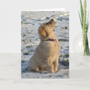 Golden Pup Snow Card