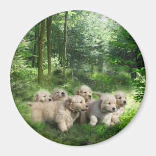 Golden Puppies Magnet