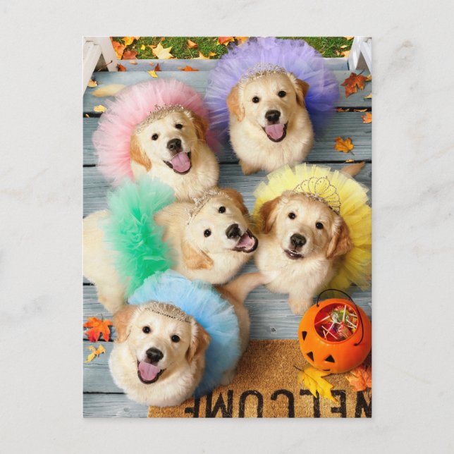 Golden Puppies Trick or Treating Invitation Postcard (Front)