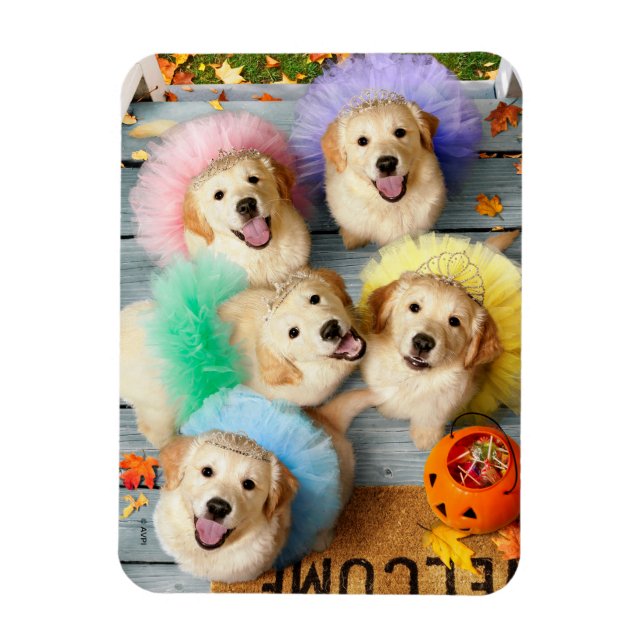 Golden Puppies Trick or Treating Magnet (Vertical)