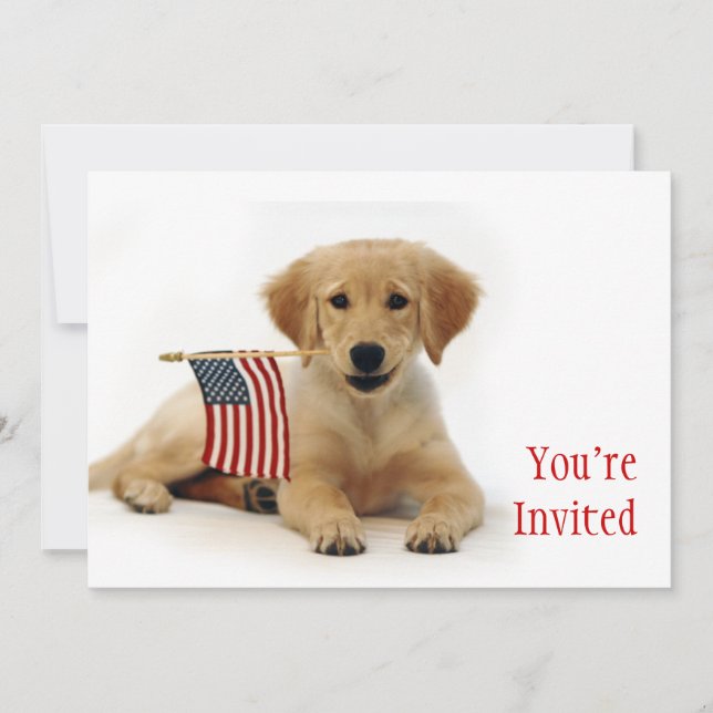 Golden Puppy and American Flag Invitation (Front)