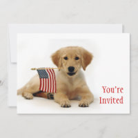 Golden Puppy and American Flag