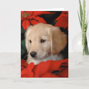 Golden Puppy and Poinsetta Christmas Card