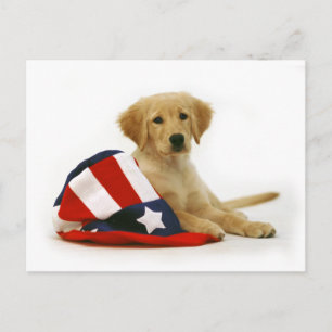 Golden Puppy and Uncle Sam Hat Postcard