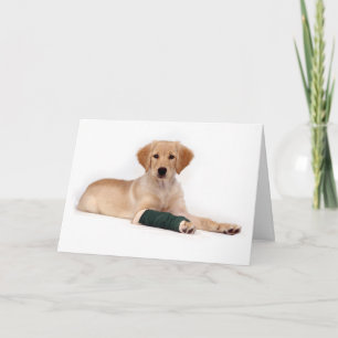 Golden Puppy Get Well Card