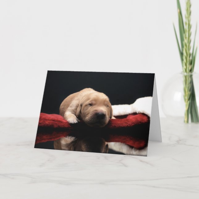 Golden Puppy & Stocking Holiday Card (Front)