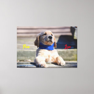 Golden Puppy with Bandanna  - Canvas Print