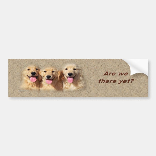 golden_pups3_bumpersticker bumper sticker (Front)