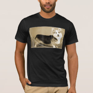 Golden Ratio Corgi Fibonacci Spiral Math Tee