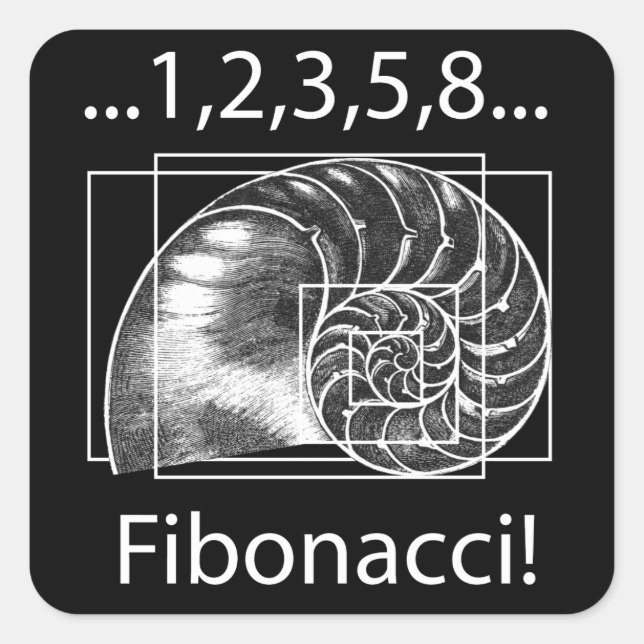 Golden Ratio, Fibonacci Spiral Square Sticker (Front)