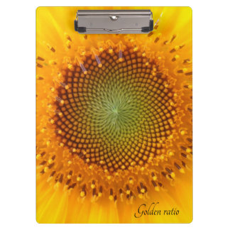 Golden Ratio, sunflower clipboard