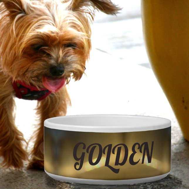 Golden Refraction Pet Dog (Creator Uploaded)