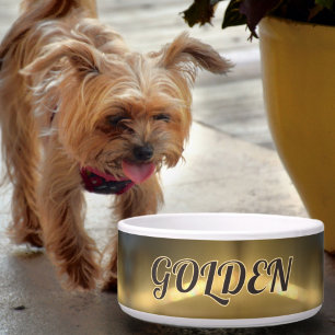 Golden Refraction Pet Dog Bowl
