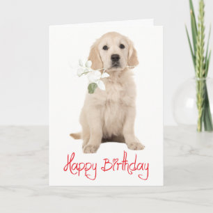 Golden Retiiever Flower Puppy Dog Happy Birthday Card