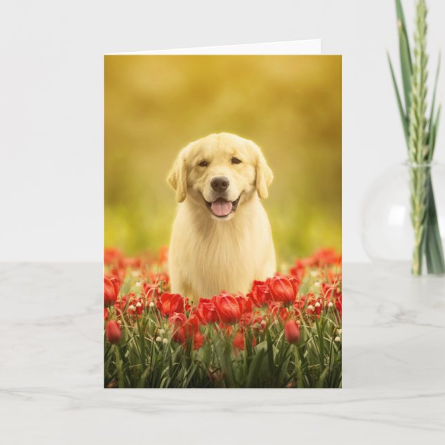Golden Retirever in Red Flowers Card (Front)
