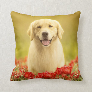 Golden Retirever in Red Flowers Cushion