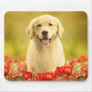 Golden Retirever in Red Flowers Mouse Mat
