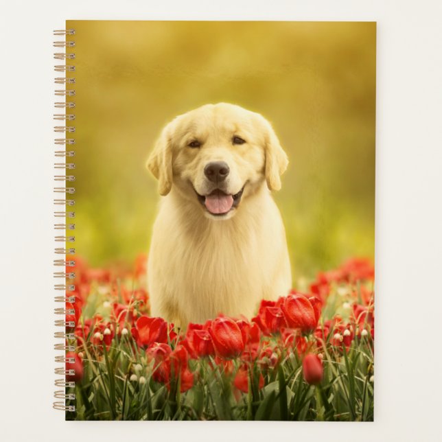 Golden Retirever in Red Flowers Planner (Front)