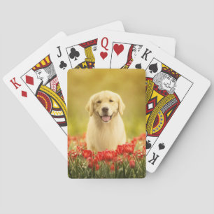 Golden Retirever in Red Flowers Playing Cards
